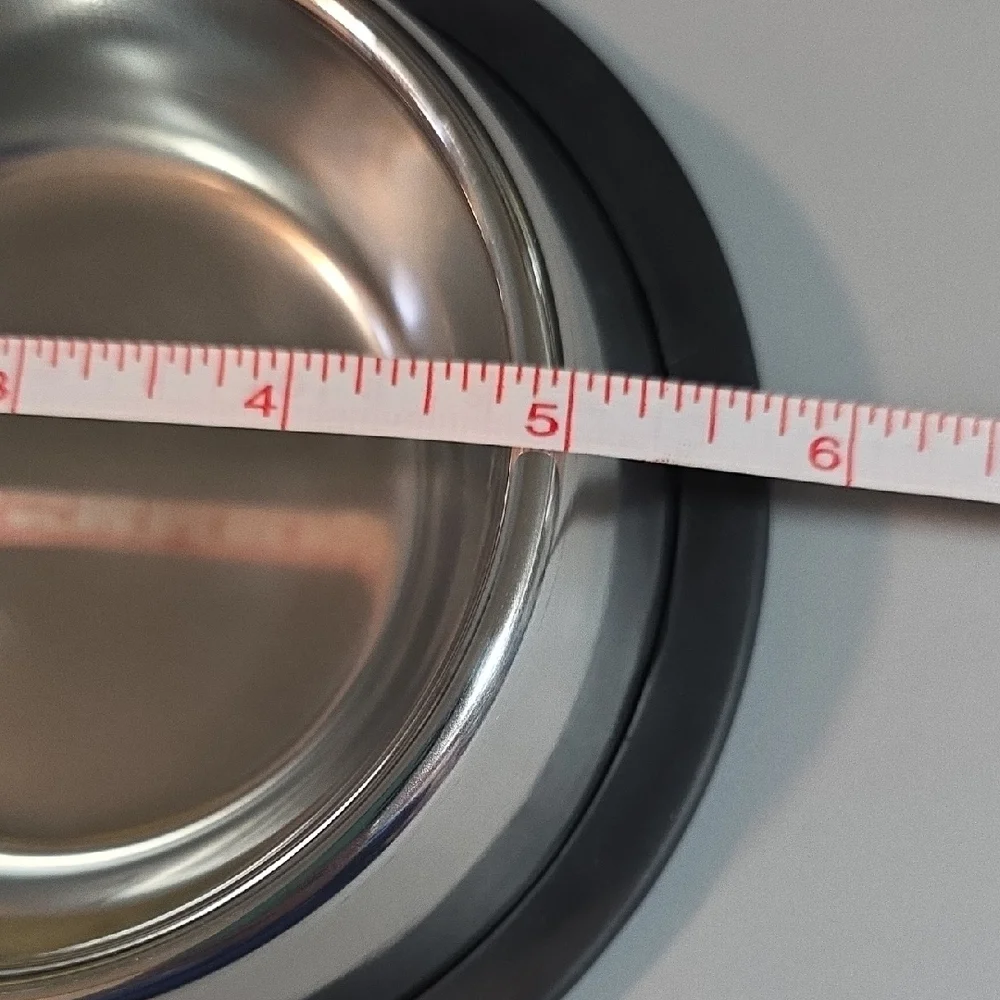 Stainless Steel Pet Bowls with Black Trim